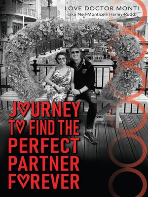 cover image of Journey to Find the Perfect Partner Forever